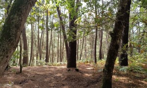 Circuit des Veyaires - Chantal - 5
