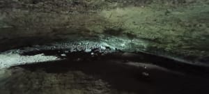 Le sentier des troglodytes - Anthony - 5