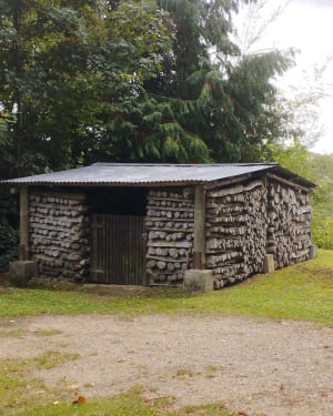 Pierrefonds - forêt de Compiègne - richard - 5