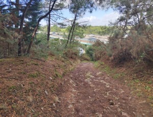 Boucle des deux ponts depuis La Roche-Bernard - Valerie - 11