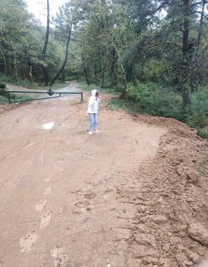 Excursion dans la forêt de Salavas - Salavas - 5