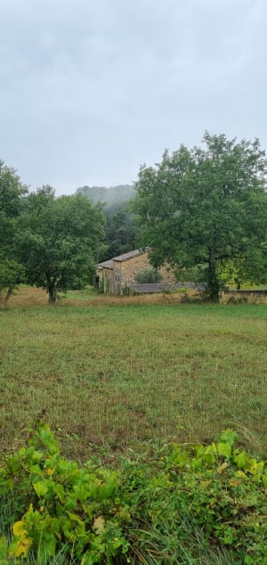 Excursion dans la forêt de Salavas - Salavas - 9