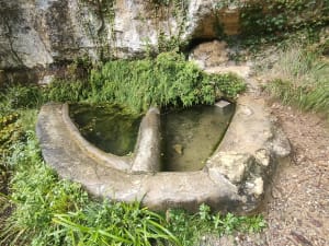 Excursion dans la forêt de Salavas - Salavas - 6