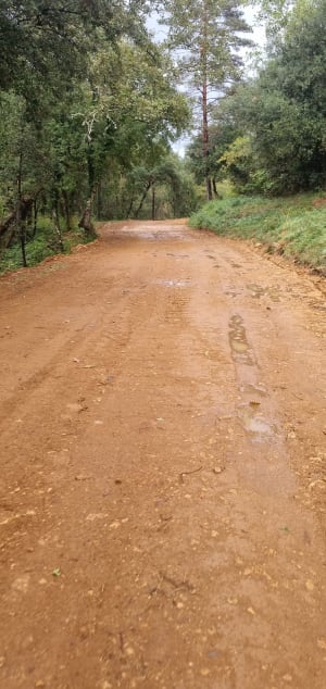 Excursion dans la forêt de Salavas - Salavas - 11