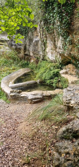 Excursion dans la forêt de Salavas - Salavas - 12