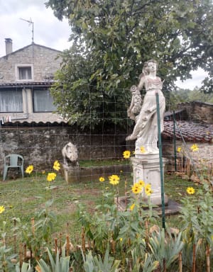 Excursion dans la forêt de Salavas - Salavas - 7