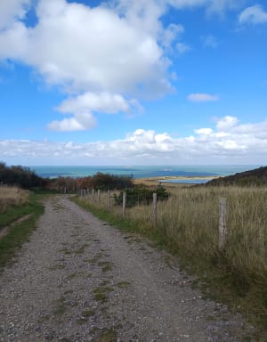 Sortie au Cap Blanc Nez - Blandine - 10