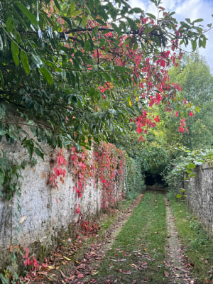Venise briarde et rando sur les canaux - Yann - 2