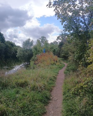 De Gournay au parc départemental de la Haute île. - Sadia - 7