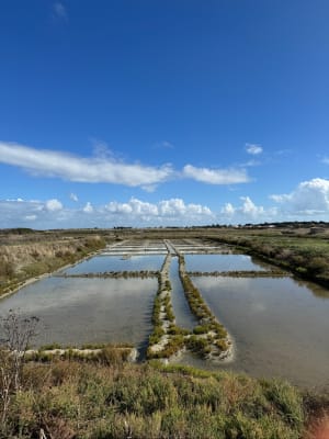 Quel pied à l'Epine et marais salants de Noirmoutier à cœur ! - Cécile - 6