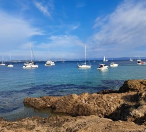 Précieuse île de Porquerolles et promesse d'évasion - Olivier - 4
