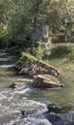 Rives de sarthe - Anne - 4