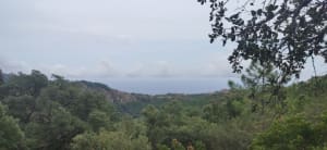 Randonnée au rastel d’Agay - Sarah - 4