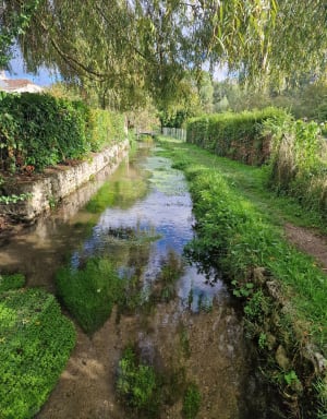 Les eaux bleues de Tavers - Laetitia - 6