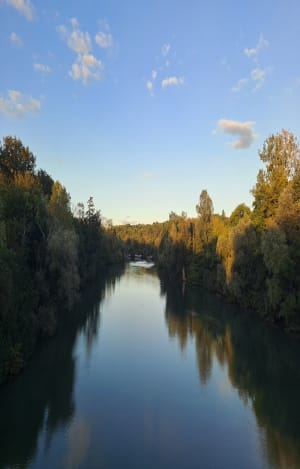 Dampmart la Dhuis et bord de Marne - Hanen - 7