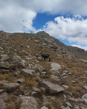 Vallée des Merveilles et tour des lacs du Mercantour par le refuge de Nice - Clémence - 4