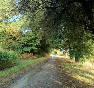 Marche Oussoise - Ousse - 2