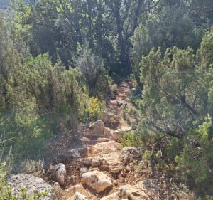 Rando le long du Verdon - Saint-Laurent-du-Verdon - 5
