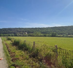 Balade en nature depuis Ourches-sur-Meuse - Hervé - 2