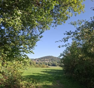 Autour de Fontfreyde et Pardon - Saint-Genès-Champanelle - 2