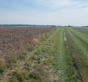 Boucle Mont sur meurthe Dameleviere par Château d Adomenil - Perrine - 4