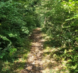 Boucle Mont sur meurthe Dameleviere par Château d Adomenil - Perrine - 5