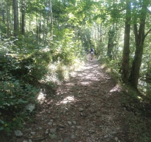 Course d'orientation à Villard-de-Lans - Villard-de-Lans - 3
