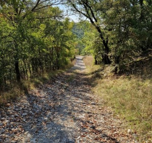 Balade entre Saint-Cirice, les Ramonets et Vayrols - Sophie - 5