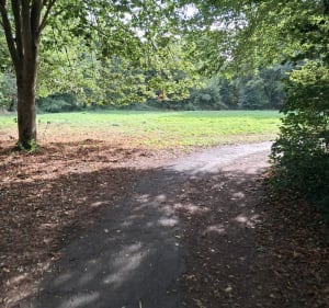 Balade dans cholet avec de la verdure - Cholet - 2