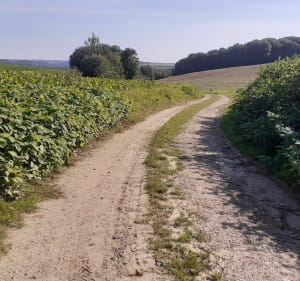 Le validons, le bois joli à Campagne les Hesdin - Stephanie - 3