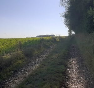 Le validons, le bois joli à Campagne les Hesdin - Stephanie - 4