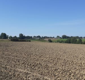 Le validons, le bois joli à Campagne les Hesdin - Stephanie - 5