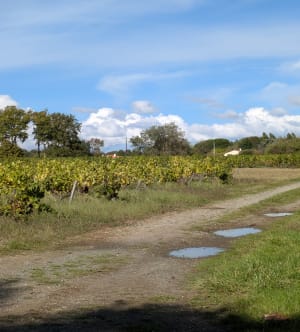 Circuit du Château à Haute-Goulaine par Chabossière - alexandra - 5