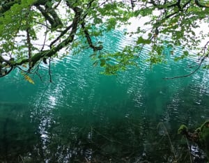 Lac Pavin - Fred - 3