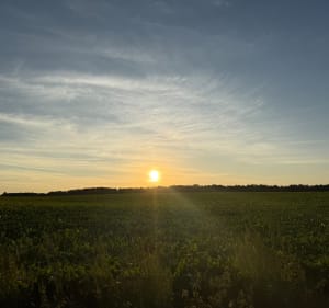 Depuis le château d’Equirre - Stéphane - 3