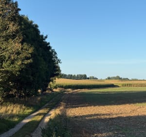Depuis le château d’Equirre - Stéphane - 2