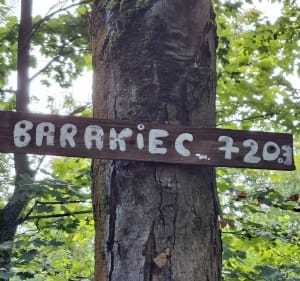 Przez najwyższe szczyty Gór Kaczawskich - Piotr - 5