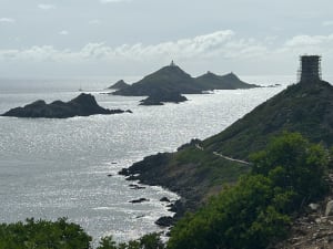Sublime Tour de la Parata et îles Sanguinaires - Ajaccio - 5