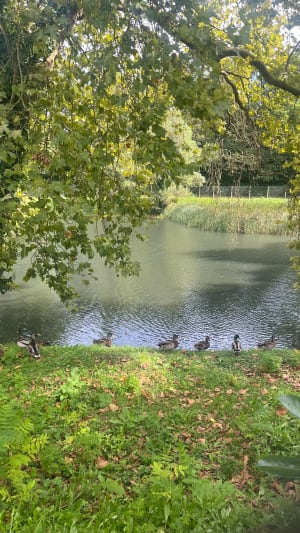 Boucle du parc des Prés Mignons - anouk - 5