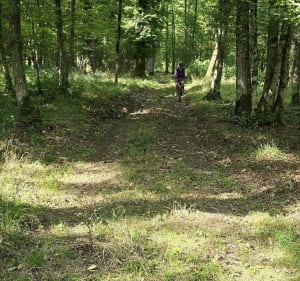 Boucle Nord Est de  Ligny-en-Barrois - Franck  - 3