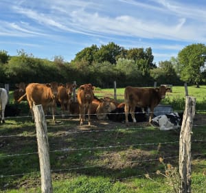 Boucle Nord Est de  Ligny-en-Barrois - Franck  - 2