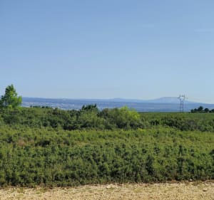 Les collines de Valtrede - Châteauneuf Les Martigues - Gignac-la-Nerthe - 2