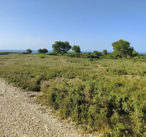 Les collines de Valtrede - Châteauneuf Les Martigues - Gignac-la-Nerthe - 3