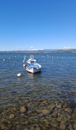 Du Brusc au Grand Gaou et la Pointe Salva - Six-Fours-les-Plages - 4