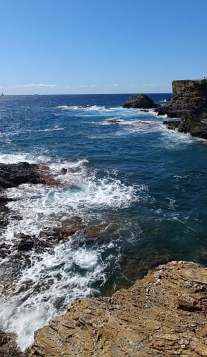 Du Brusc au Grand Gaou et la Pointe Salva - Six-Fours-les-Plages - 5