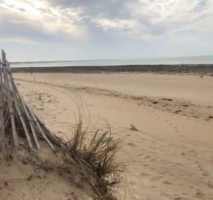 Longevilles des marais à la plage - Longeville-sur-Mer - 2