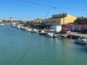 Balade le long de l'étang de Méjean jusqu'au canal du midi - JP - 2
