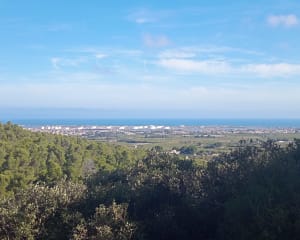 Balade autour de La Devèse - Véronique - 4