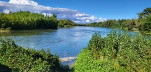 Balade à la confluence de la Garonne et de l'Ariège - DENIS - 6
