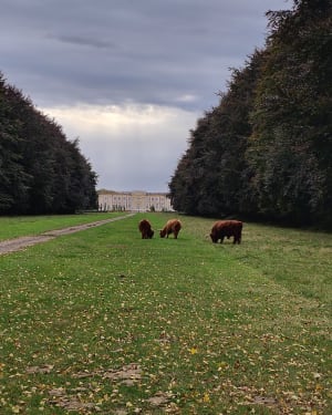 Grand Val Amfreville, par les Houles - JULIE - 2